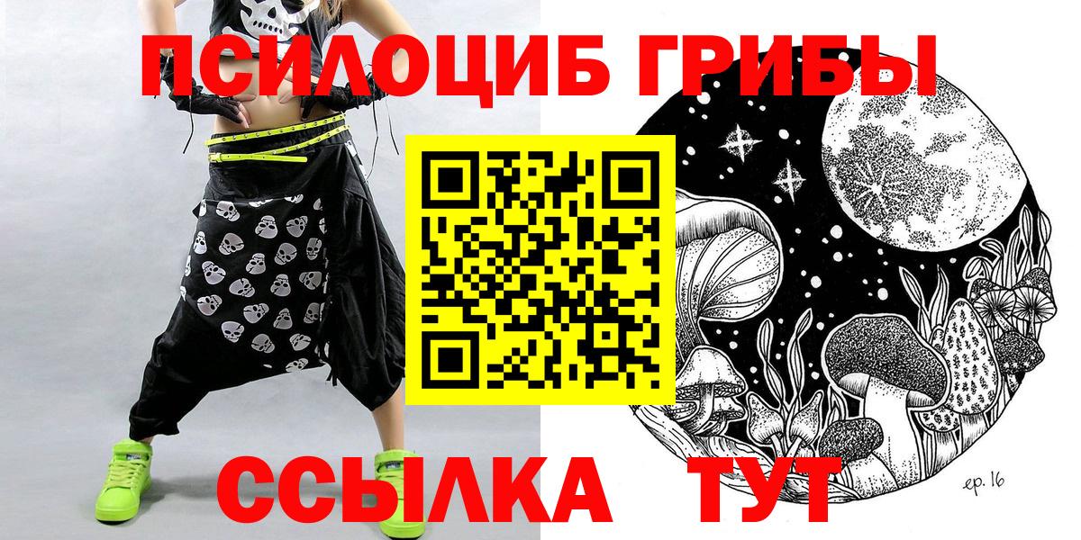 Галлюциногенные грибы Psilocybine cubensis  как найти   Вход с VPN  Семёнов  Галлюциногенные грибы Psilocybe 